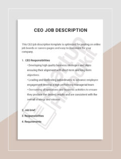 CEO Job description