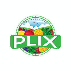 Plixlife-min